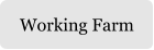Working Farm