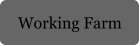 Working Farm